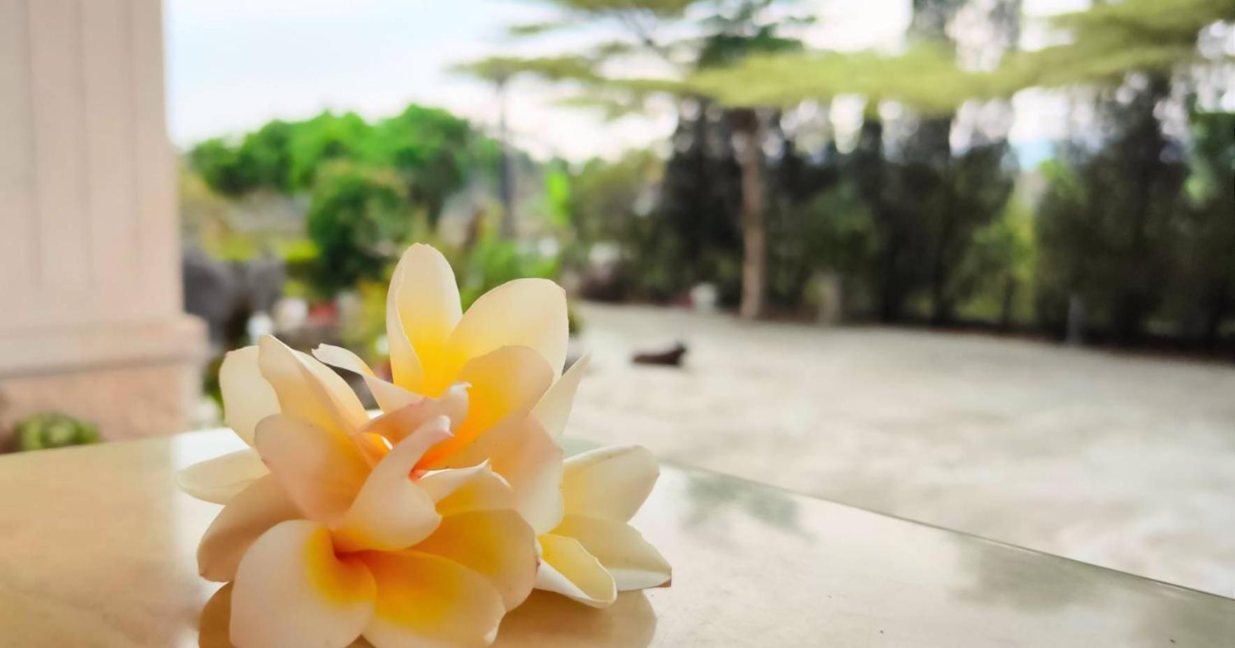 登雲villa Shan-lin Luaran gambar